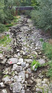 Das flie&szlig;t kaum noch Wasser - die Zorge entlang der Uferstra&szlig;e in Nordhausen