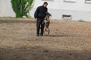Tag der offenen T&uuml;r bei der Landespolizeiinspektion NOrdhausen