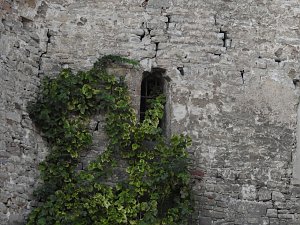 Zu Gast auf Schloss Plötzkau