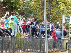 Herbstcross im Nordh&auml;user Gehege