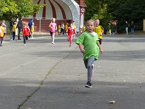 Herbstcross im Nordh&auml;user Gehege