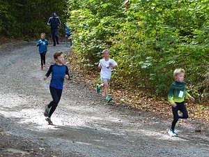 Herbstcross im Nordh&auml;user Gehege