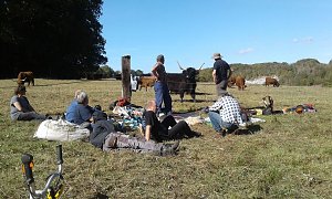 Zehn Enthusiasten im Feuchtgebiet