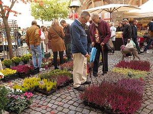 Buntes Treiben auf dem Nordh&auml;user "Marktplatz"