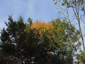 Herbstlicher Spaziergang