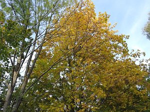Herbstlicher Spaziergang