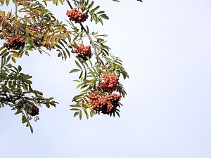 Herbstlicher Spaziergang