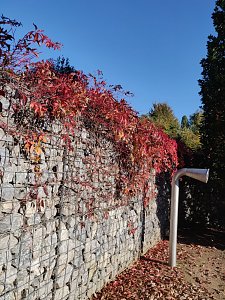 Farbenpracht auf dem Petersberg und in der Luft