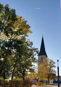Farbenpracht auf dem Petersberg und in der Luft