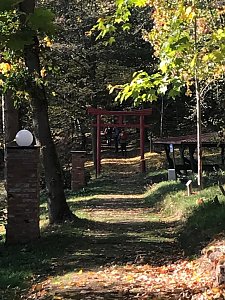 Besuch im Ahornpark Ilfeld