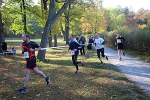 Stadtparklauf in Sondershausen (2)
