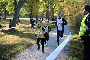 Stadtparklauf in Sondershausen (2)