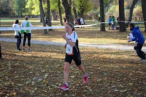 Stadtparklauf in Sondershausen (2)