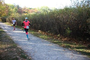 Stadtparklauf in Sondershausen (2)