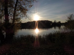 Eine Runde Kiesteich
