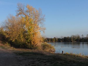 Eine Runde Kiesteich