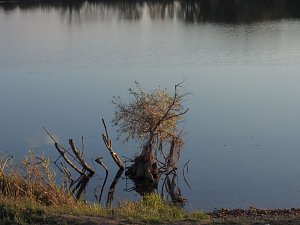Eine Runde Kiesteich