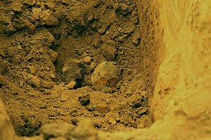 Bilder von den Fundstellen