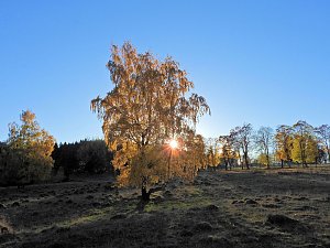 Herbst im Harz