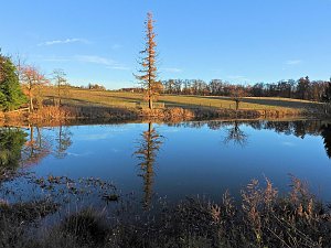 Herbst im Harz
