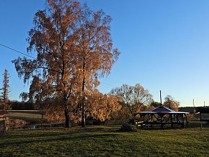 Herbst im Harz