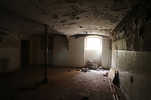 Besuch auf dem Lindenhof