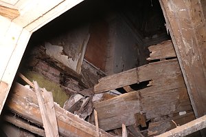 Besuch auf dem Lindenhof