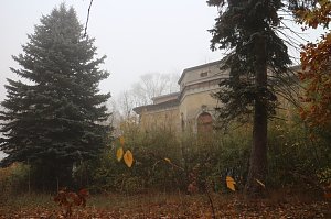 Besuch auf dem Lindenhof