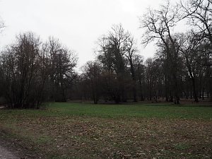 Die ersten Fr&uuml;hlingsboten?