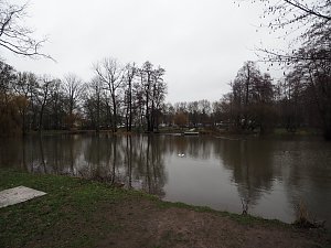 Die ersten Fr&uuml;hlingsboten?