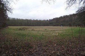Ginge es nach den Vorschl&auml;gen des Landrates, k&ouml;nnte diese Wiese in der Gumpe, die zum Gr&uuml;ng&uuml;rtel der Stadt z&auml;hlt, bebaut werden