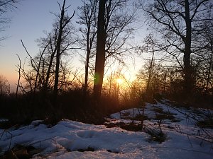 Sonne, Mond und Sterne