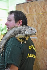 Reptilien Ausstellung