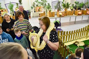Reptilien Ausstellung