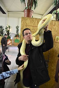 Reptilien Ausstellung