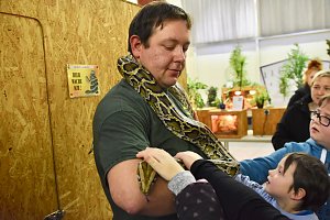 Reptilien Ausstellung