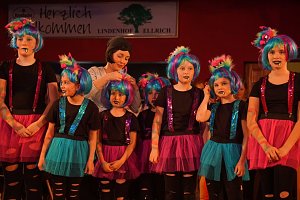 Karneval in Ellrich