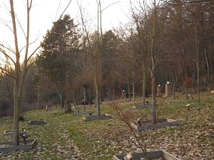 Die Natur vor unserer T&uuml;r