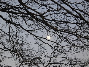 Die Natur vor unserer T&uuml;r
