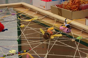Lange Nacht der Wissenschaften am Herder Gymnasium
