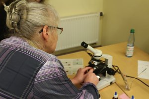 Lange Nacht der Wissenschaften am Herder Gymnasium