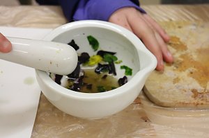 Lange Nacht der Wissenschaften am Herder Gymnasium