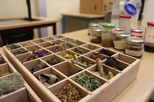 Lange Nacht der Wissenschaften am Herder Gymnasium
