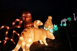 Lichtershow im Bergzoo Halle