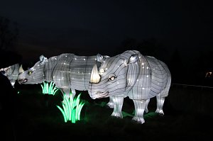 Lichtershow im Bergzoo Halle