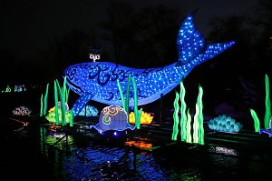 Lichtershow im Bergzoo Halle