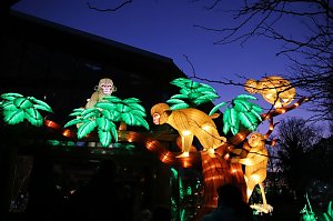 Lichtershow im Bergzoo Halle