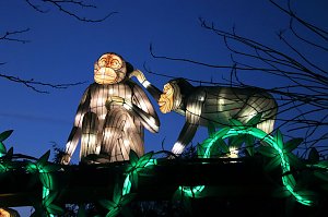 Lichtershow im Bergzoo Halle