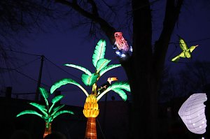 Lichtershow im Bergzoo Halle