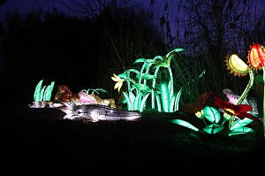 Lichtershow im Bergzoo Halle